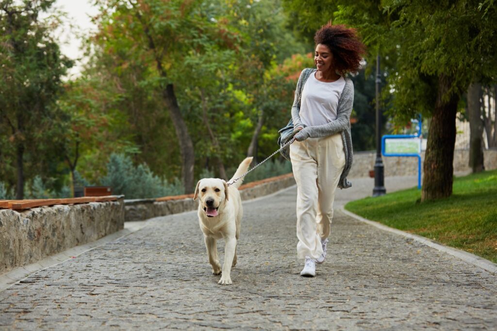 Woman walking a dog