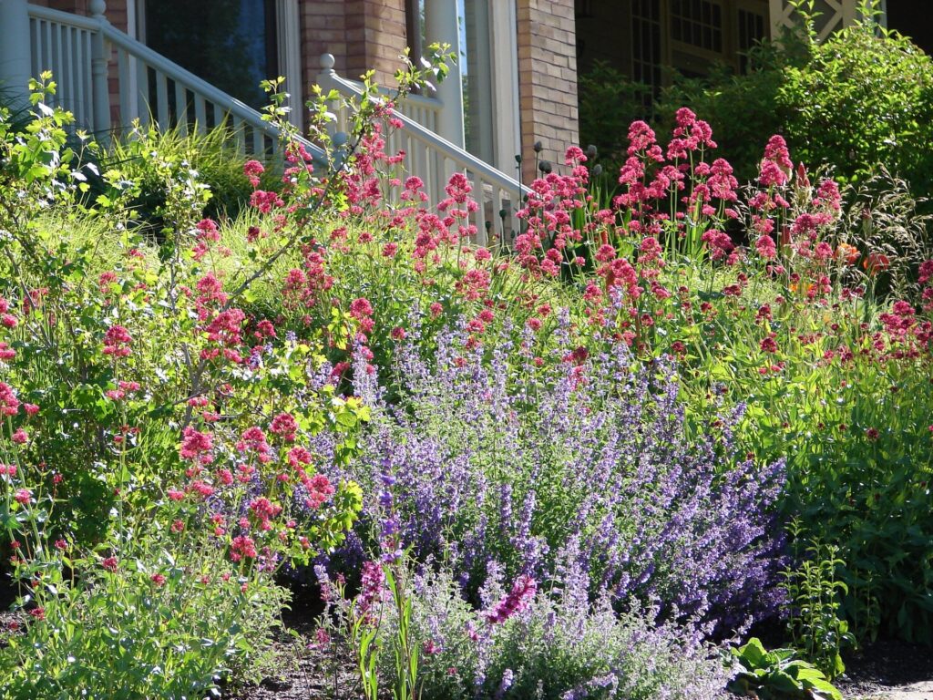 Save on Your Water Bill With These 17 Drought-Resistant Plants