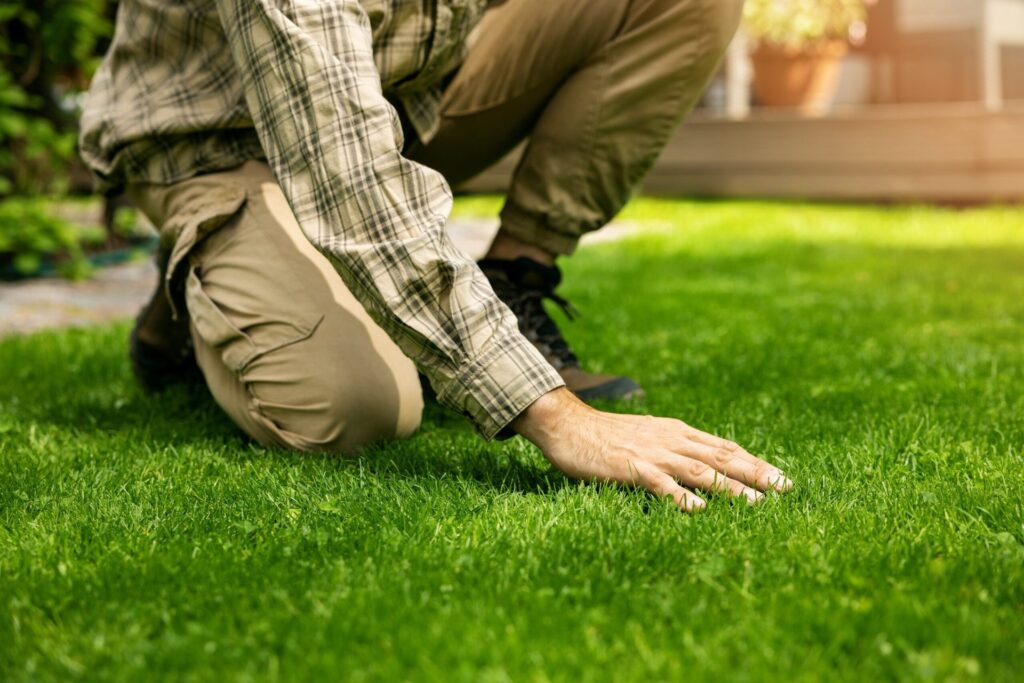 A man bends down to touch a green, lush, healthy lawn at a home.