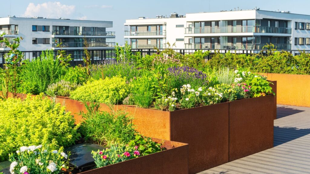 Urban garden on the roof of apartment buildings. Herbs, flowers, and fruit plants grow on raised beds made of weathering steel. COR-TEN steel panels for modern architecture, high bed design.